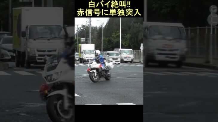 交通機動隊の白バイが絶叫しながら赤信号突入!! Responding Police motorcycle