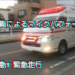 (小田原市消防) 松田救急1 緊急走行!!  (搬送開始)