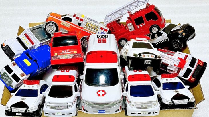 ⭐️いろんなミニカーを走らせてみた⭐️救急車🚑、消防車🚒、パトカー🚓、ごみ収集車🚛、はたらくくるま🚗サイレン🚨緊急走行7️⃣