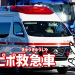 キッズソング|ピポピポ救急車（ぴぽぴぽきゅうきゅうしゃ） | 童謡 |  |Japanese Children’s Song