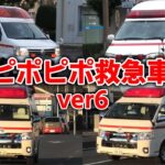 【ほんもの！】ピポピポ救急車⑥救急車あつまれ色んなしょうぼうしゃ 救急車図鑑 NHK Eテレ ポンキッキーズ