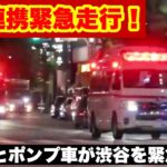 【PA連携緊急走行！】救急車とポンプ車が渋谷を緊急走行！