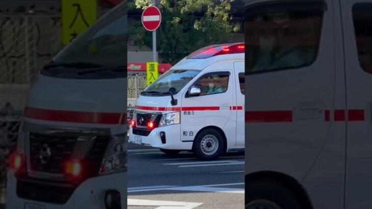 本日撮影！近日公開！#福岡市消防局 #救急車 SAPｰ520サイレン救急車は2台のみ！ 和白出張所救急5 緊急走行