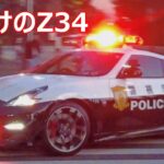 【夜明けのZ】フェアレディZ34 NISMO パトカー 2024 警視庁「年頭部隊出動訓練」