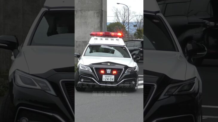 【歩道を緊急走行！！！】埼玉県警220系クラウンパトカー！左折禁止交差点で違反車追跡！！！