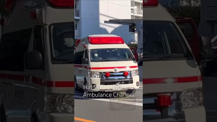 救急車 緊急走行 新宿 Ambulance Responding in Shinjuku, Tokyo #tokyo #shinjuku #ambulance #japan #shorts