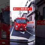 【前から消防車が！】東京消防庁 ポンプ車PA連携 緊急走行