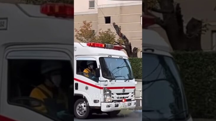 特殊救急車 緊急走行 新宿 Special Ambulance Responding in Tokyo #tokyo #shinjuku #ambulance #japan #shorts ￼
