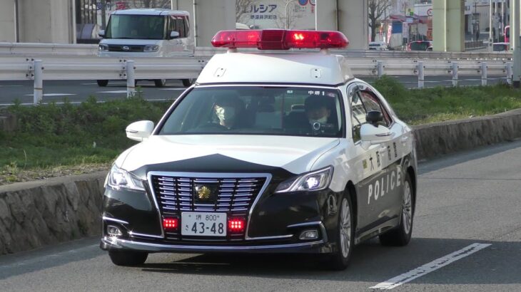 パトカー緊急走行【161】大阪府警　中堺警察署１号【Japanese Police car】