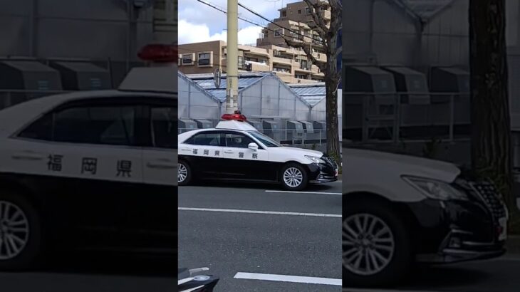 【福岡県警】210系パトカー緊急走行