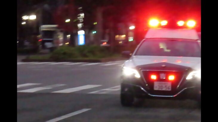 パトカー緊急走行 福岡市御供所町（博多大博通り）　Japanese_policecar