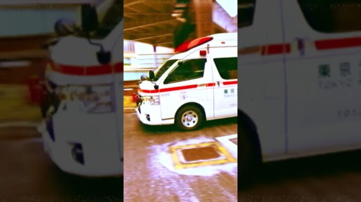 truck but it was an ambulance#救急車 #緊急車両 #きゅうきゅうしゃ #はたらくクルマ #car #ambulance