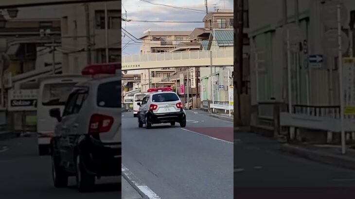 埼玉県警察 イグニスパトカー緊急走行