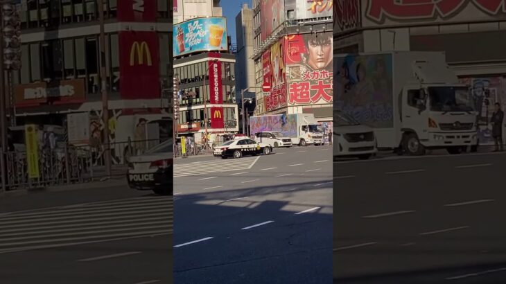 歌舞伎町を緊急走行する新宿のパトカー#新宿 #警視庁 #パトカー #歌舞伎町