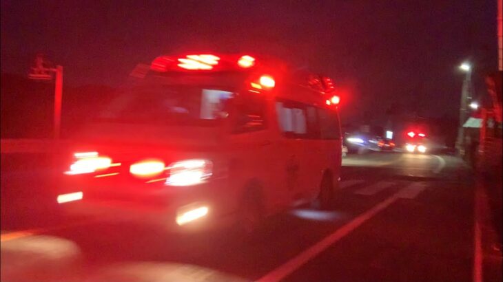 【消防車両緊急走行】虫声響く夜にPA連携で駆け抜ける！！
