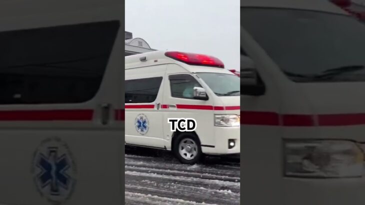 TCDアンプ！アクティビーコン非搭載 救急車