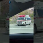 🚨響き渡るサイレン🚨救急車🚨緊急走行🚨　#shorts