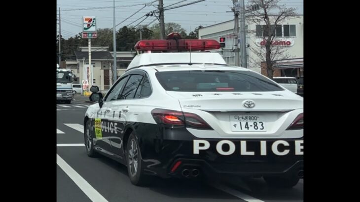 緊急走行！緊走する栃木県警察のパトカー