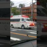 【緊急走行】鹿児島市消防車　谷山救急隊