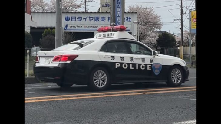 緊急走行！緊走する茨城県警察のパトカー