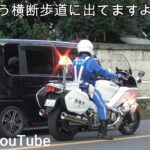 白バイに拡声器で怒られ不貞腐れる女性ドライバー！！•高齢者の真横をノーブレーキでぶっ飛ばすイカれた車両！！•あわや衝突！！殺人未遂！？で2台の白バイが緊急走行！！等、【白バイ歩行者妨害取り締まり特集】