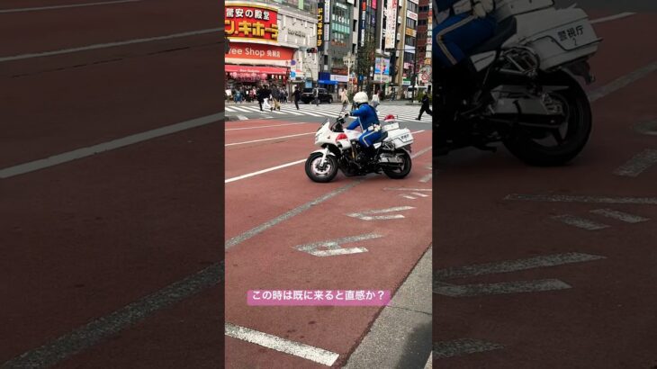 警察　白バイ　自転車の信号無視を見逃さなかった！！ソワソワしていた隊員。既に来ると直感か？#警察 #白バイ#緊急出動#緊急走行#サイレンあり#警察庁 #警察24時 #japan #交通#交通機動隊