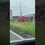 🚨2台で緊急走行レスキュー🚨消防車🚨響き渡るサイレン🚨　#shorts