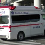 消防車緊急走行【879】堺市消防局　臨海救急隊【Japanese fire enjine】