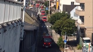 【緊急走行】レスキュー隊 大阪市消防局緊急出動
