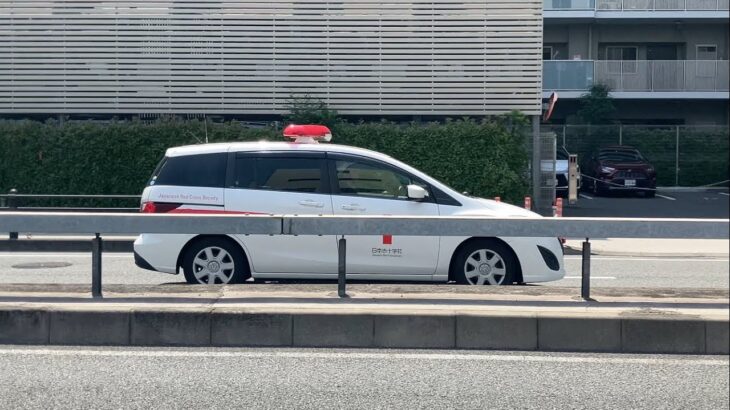 【緊急走行】パトカーの同じサイレンで緊急走行！日本赤十字社　血液運搬車