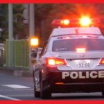 緊張の瞬間！パトカーの追跡と街の安全を守るパトロール🚨