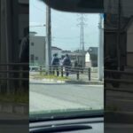 仲良く歩く警察官🩷　兵庫県警🚨　#shorts