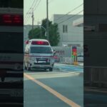 🚨響き渡るサイレン🚨救急車🚨緊急走行🚨　#shorts