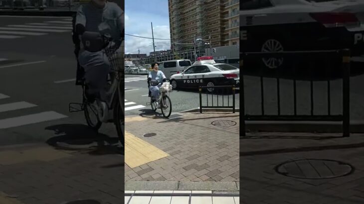 🚨パトカー🚨兵庫県警🚨赤色灯🚨　#shorts