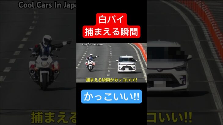 白バイの『捕まえる瞬間』が、カッコいい‼️　#shorts [サイレン 警察 取り締まり police 交通機動隊]