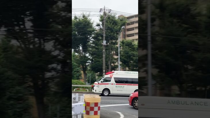 東京消防庁の救急車が横浜の街を緊急走行！東京消防庁 救急車 緊急走行#東京消防庁 #消防 #救急 #救急車 #救急隊 #緊急走行