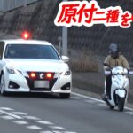 覆面パトカー東へ西へ！スピード違反のアウディ・原付検挙の瞬間！【スピード違反取り締まり】