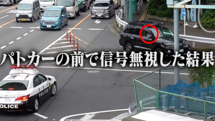 オイオイどこ見て運転してんだよ！地元のマダムが地元のパトカーに信号無視で検挙！その一部始終がこちら　他・お願い見逃して！と女性白バイにお願いした結果/ゴネてたら白バイたくさん来ちゃった【違反3連発】