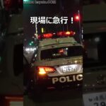 応援要請を受けた自動車警ら隊!!緊迫感がハンパない緊急走行3連発で逮捕の現場へ急行!!#shorts