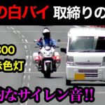 【激録】新型の白バイが捕まえる瞬間‼️ サイレン音が変わった‼️ 『CB1300』　[警察 取り締まり 速度違反 兵庫県警]