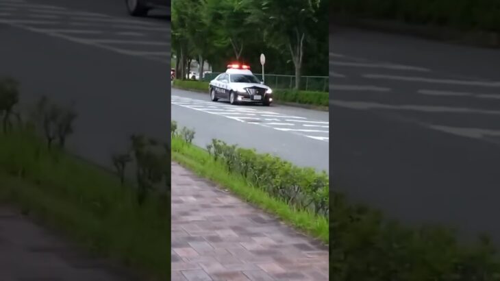 🚨赤色灯🚨違反者を誘導するパトカー🚨兵庫県警🚨　#shorts