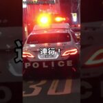 【現行犯逮捕!!】自動車警ら隊が捕まえた外国人の容疑者を乗せパトカーが緊急走行で連行の瞬間!!#shorts