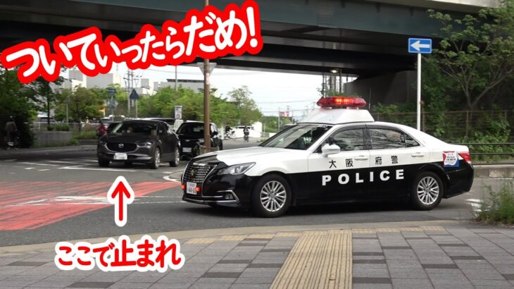 ついて行ったらあかん！カルガモ走行のノートがパトカーに検挙される瞬間！【一時停止取り締まり】