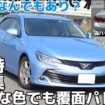 【覆面パトカー特集！】もはやなんでもあり！個人的に衝撃的だった覆面パトカー11選  水色マークX プロボックス捜査用覆面や偽ハイブリッド交通覆面やほぼ全員ノーマークな交通覆面など。