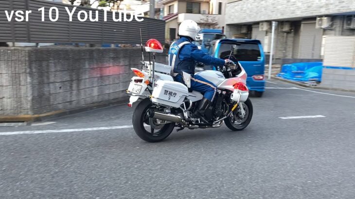 デリバリーバイクが歩行者ガン無視で通過！！白バイに捕まる瞬間！•高齢ドライバーが白バイから逃走！？•白バイが張る交差点で信号無視•2台の白バイが違反車を猛追！！【白バイ取り締まり特集】