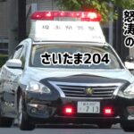 【ティアナパト緊急走行！！】埼玉県警察自動車警ら隊さいたま204現場に緊急走行！！