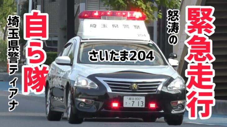 【ティアナパト緊急走行！！】埼玉県警察自動車警ら隊さいたま204現場に緊急走行！！