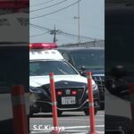 【緊急走行】埼玉県警察220系クラウンパトカー緊急走行！！