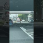 🚨響き渡るサイレン🚨救急車🚨緊急走行🚨赤色灯🚨　#shorts