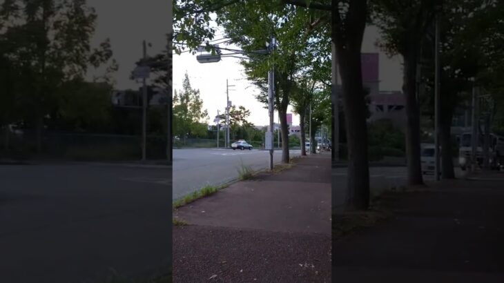 🚨兵庫県警🚨パトカー🚨パトロール🚨　#shorts